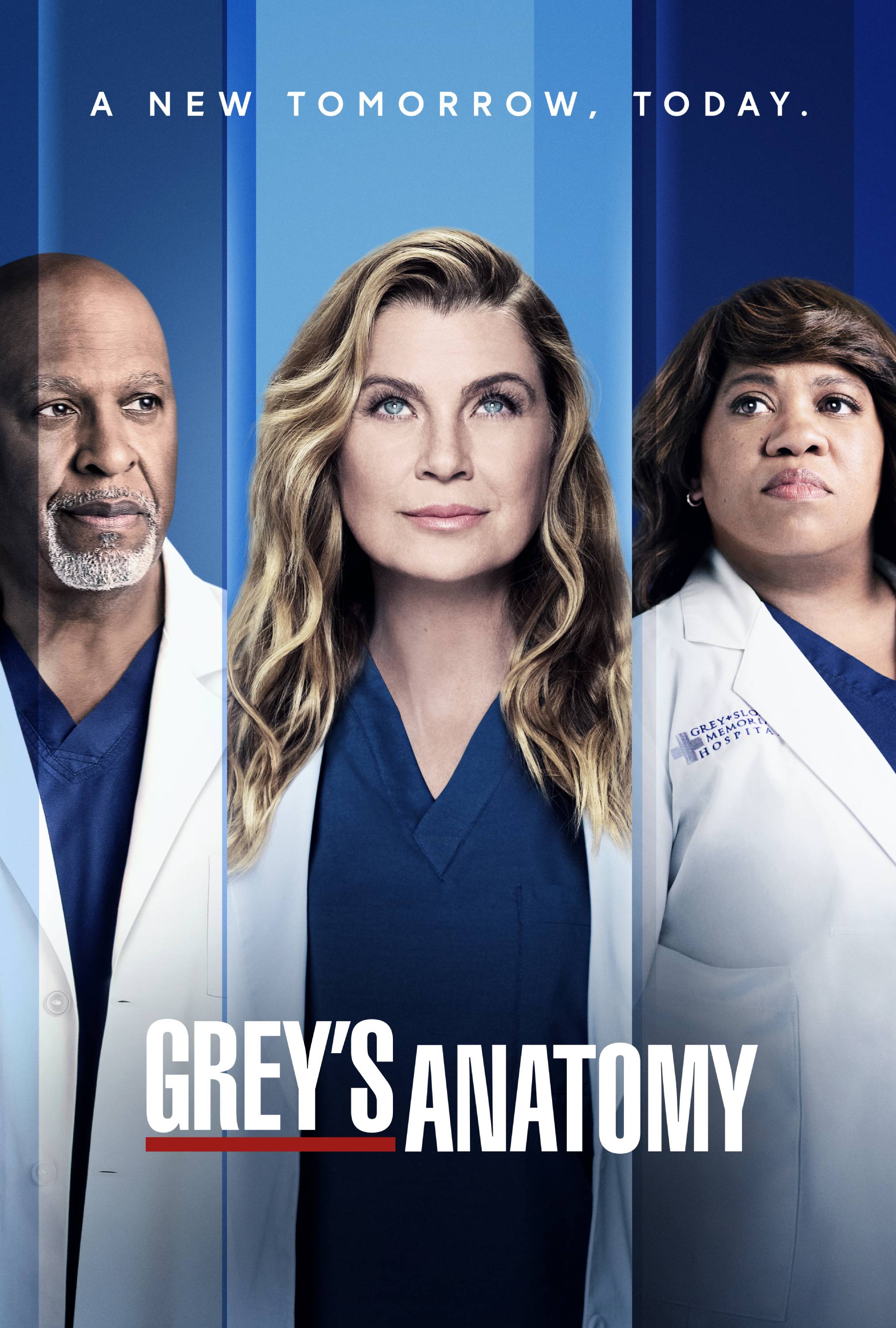 Watch Grey's Anatomy Online Season 14 (2017) TV Guide