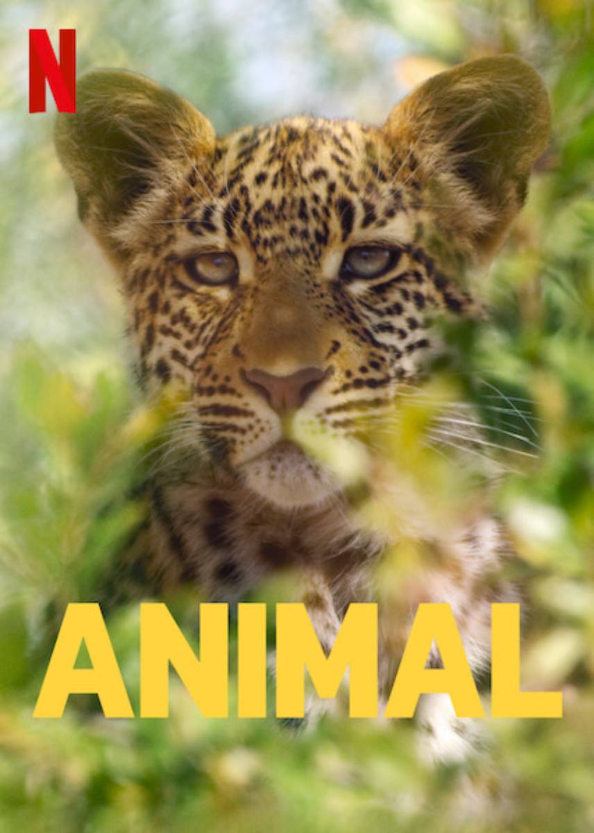 Animal - Full Cast & Crew - TV Guide