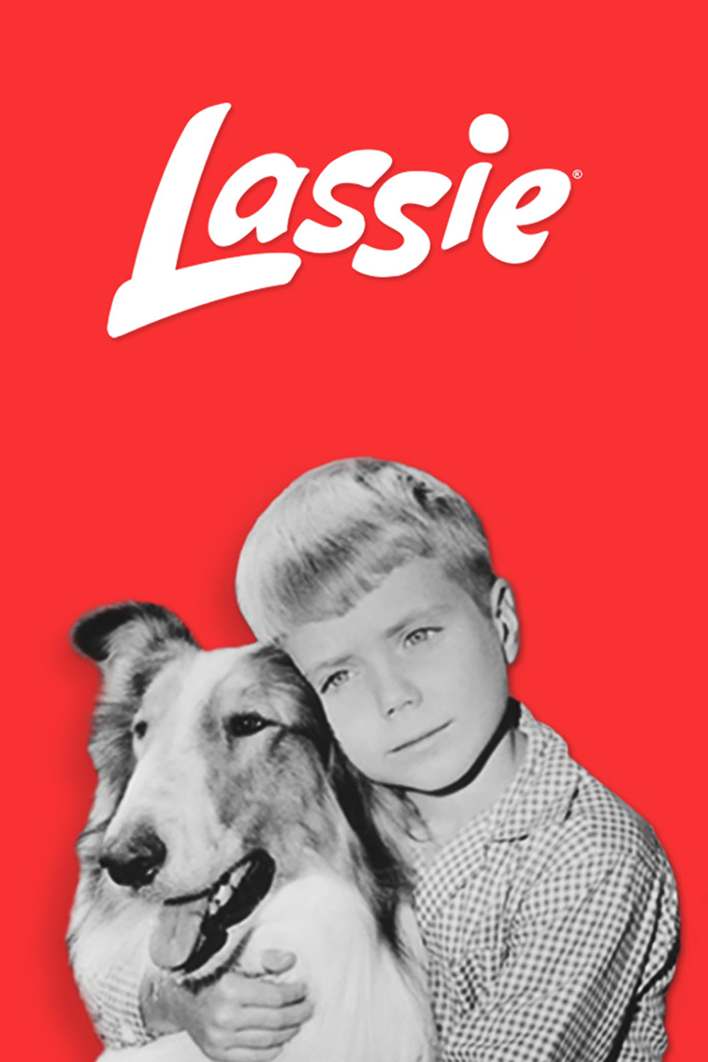 Lassie Full Cast And Crew Tv Guide 