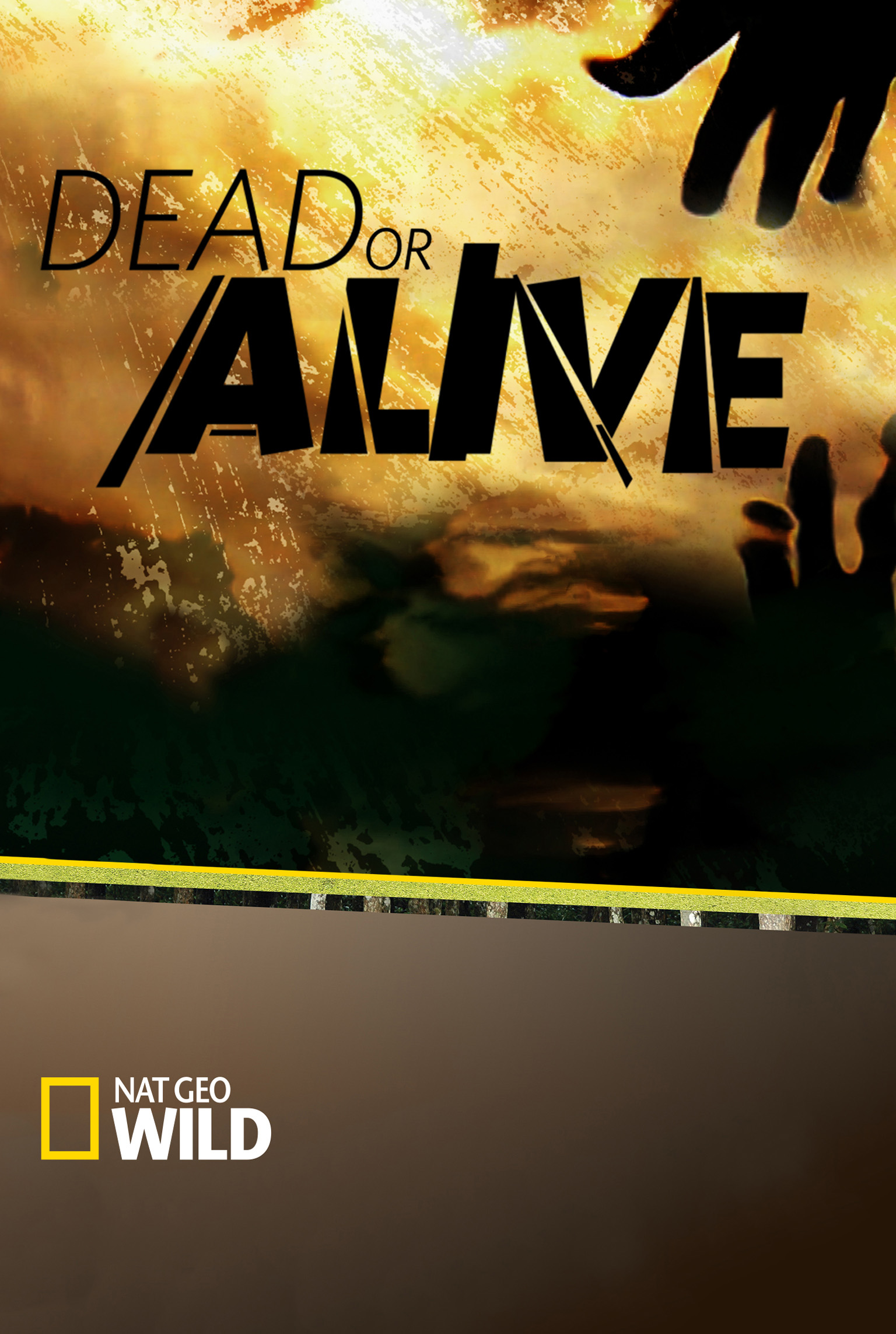 Dead or Alive - streaming tv show online