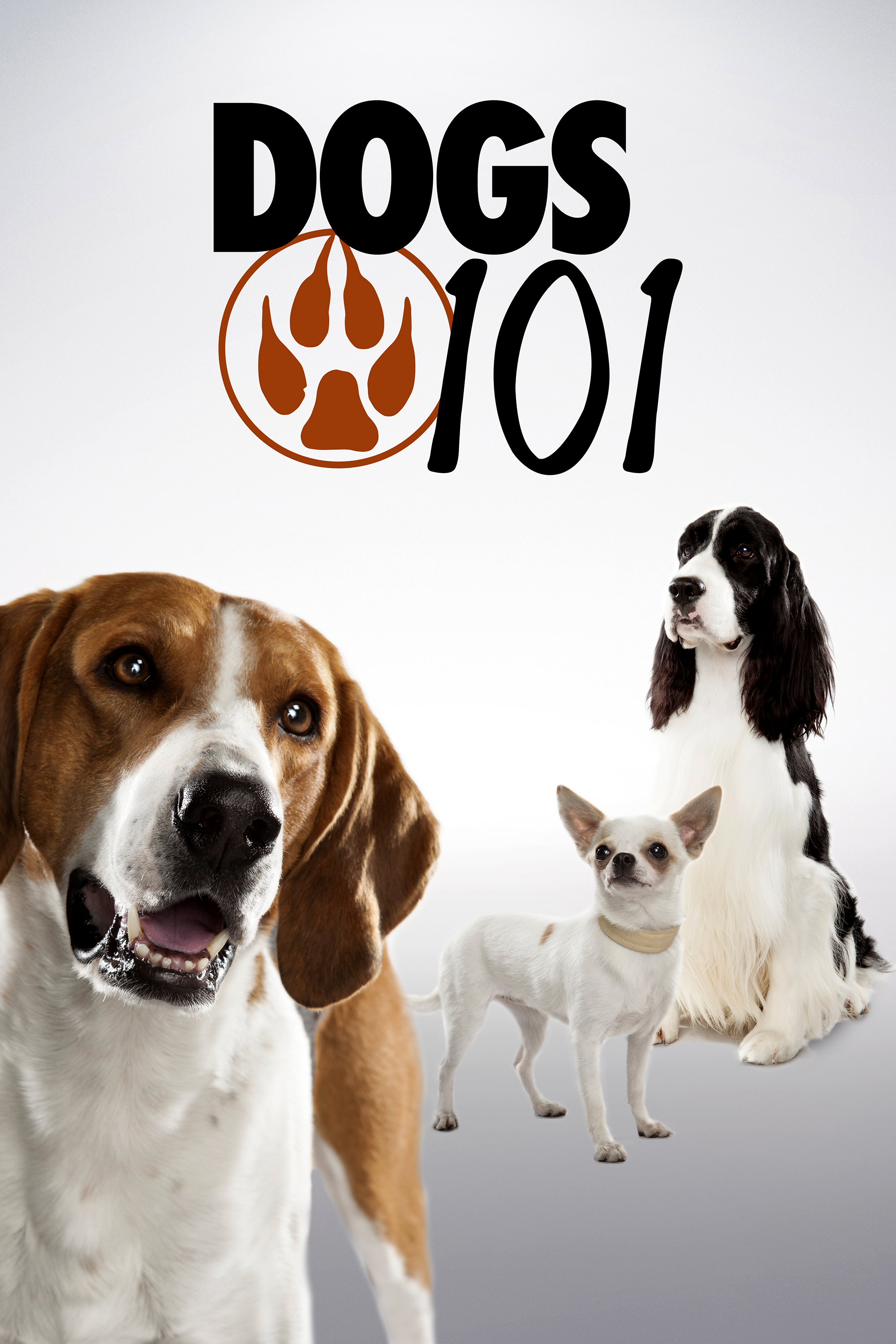 Watch Dogs 101 Online | Season 2 (2009) | TV Guide