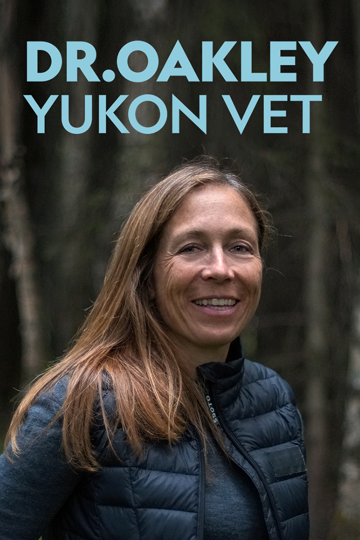 Dr. Oakley, Yukon Vet TV Listings, TV Schedule and Episode Guide | TV Guide