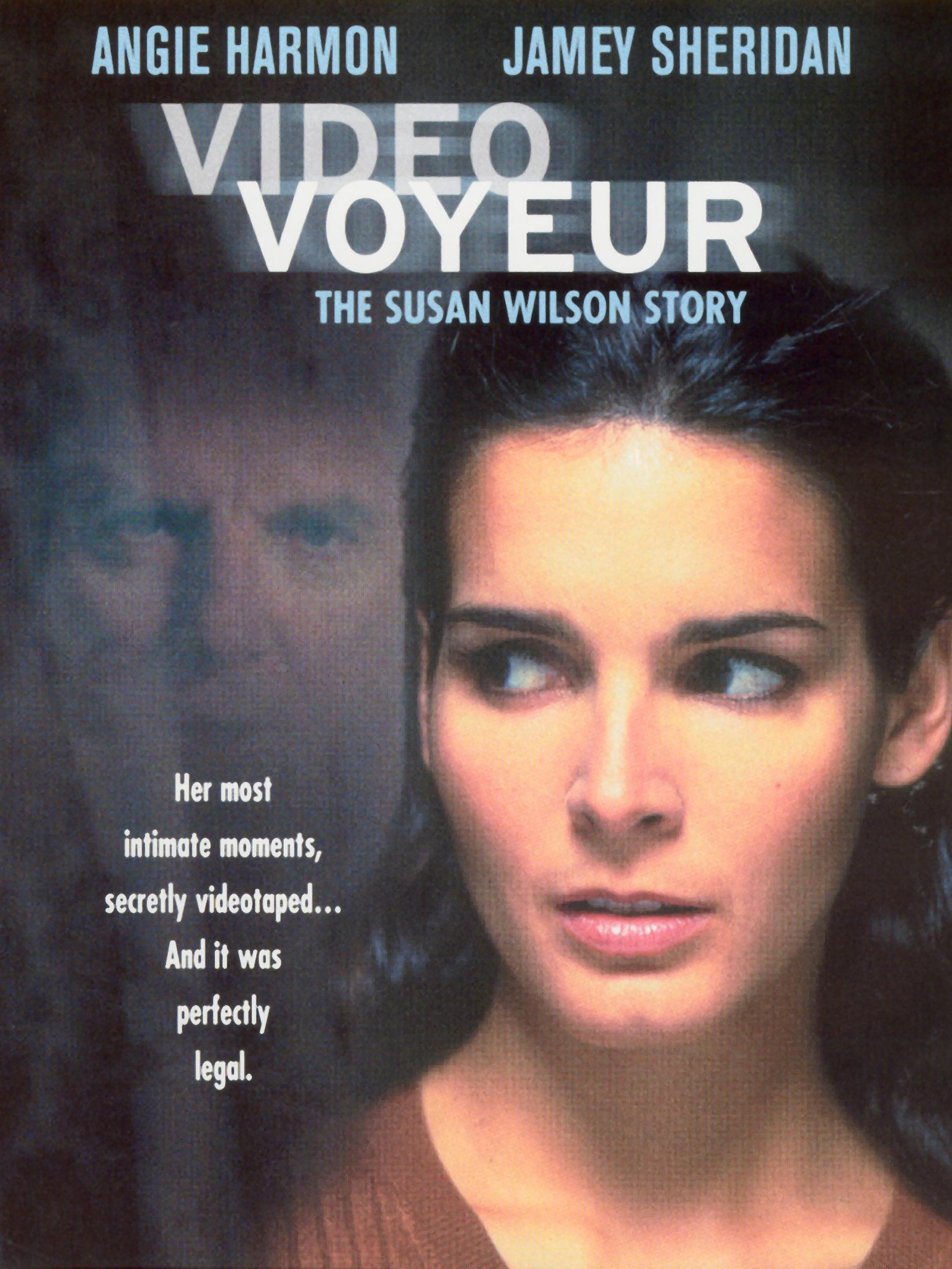 Video Voyeur The Susan Wilson Story