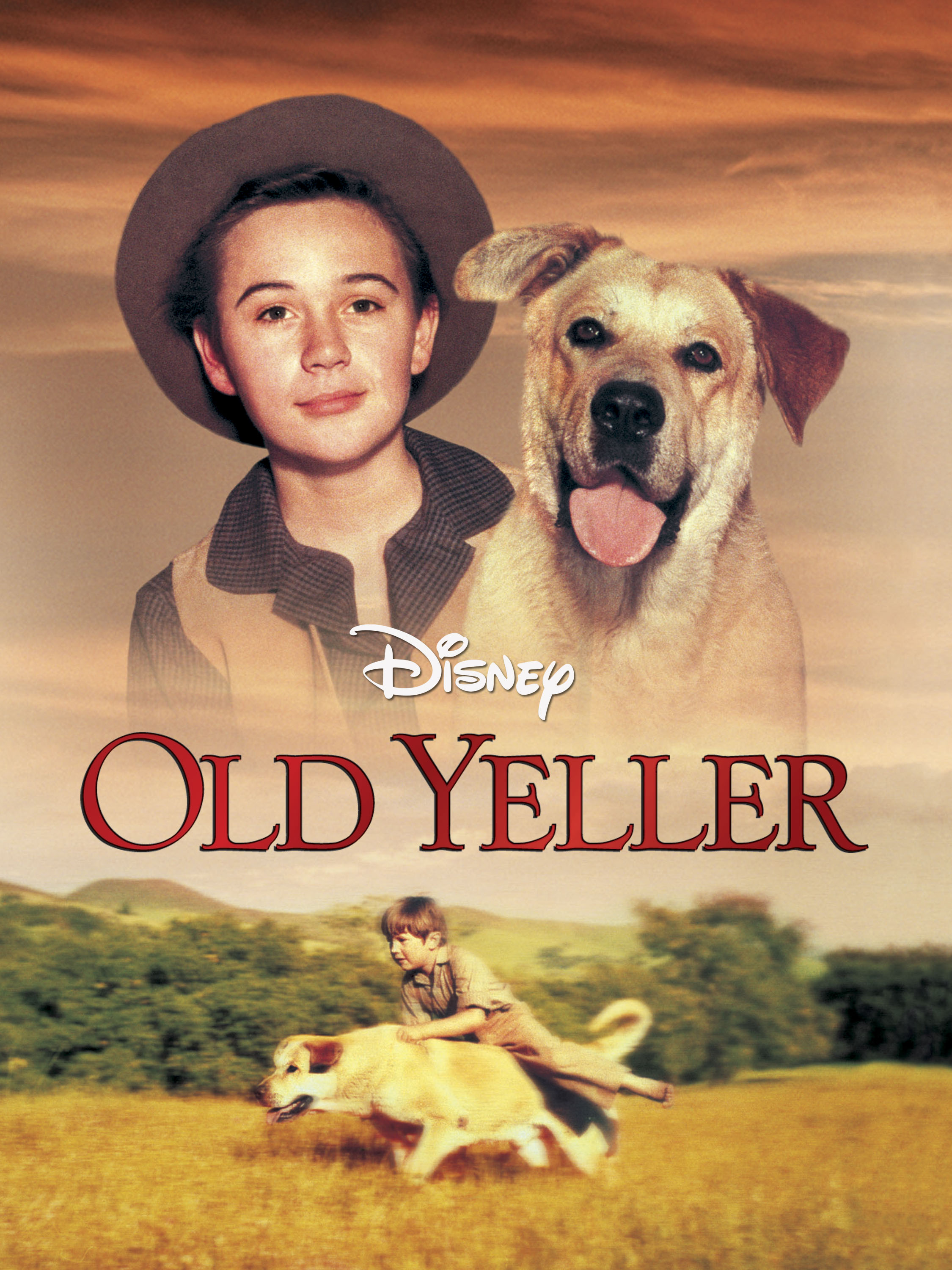 summary of the book old yeller