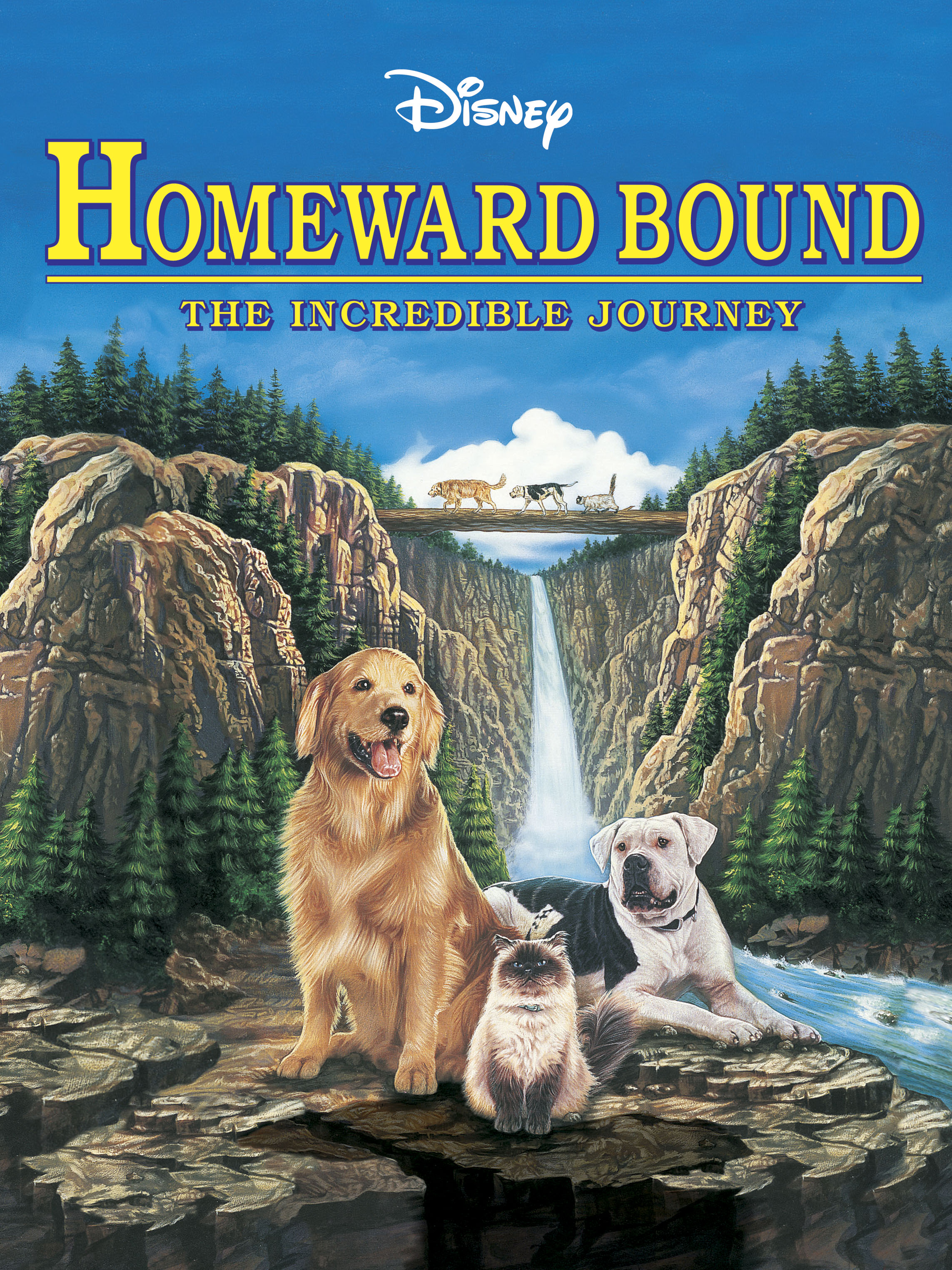 homeward bound movie review