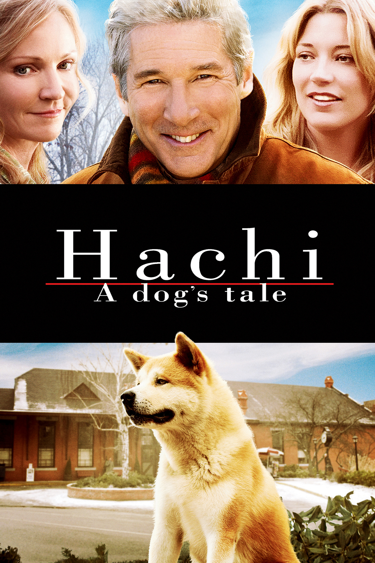 movie review hachi a dog's tale