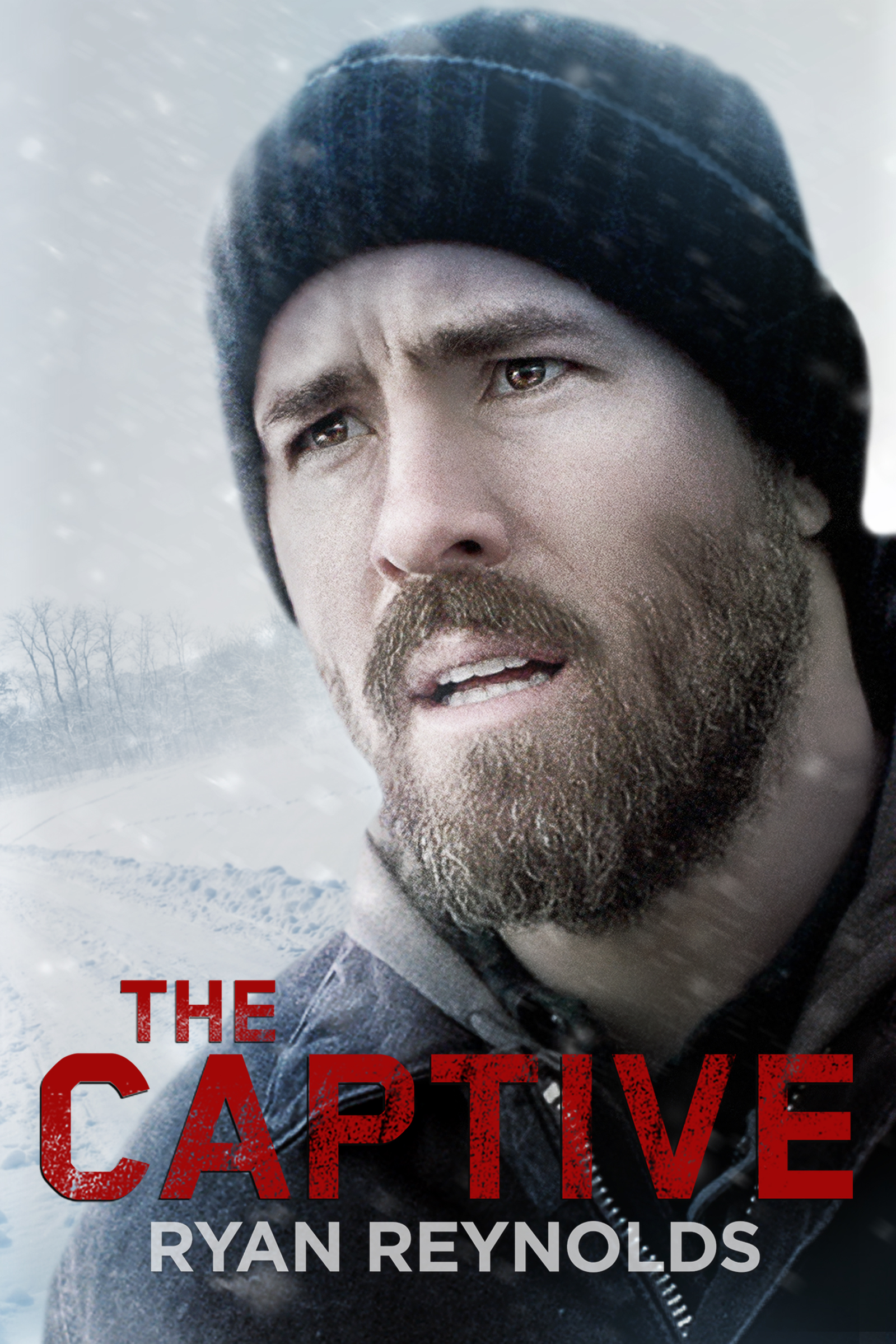 The Captive - Where to Watch and Stream - TV Guide