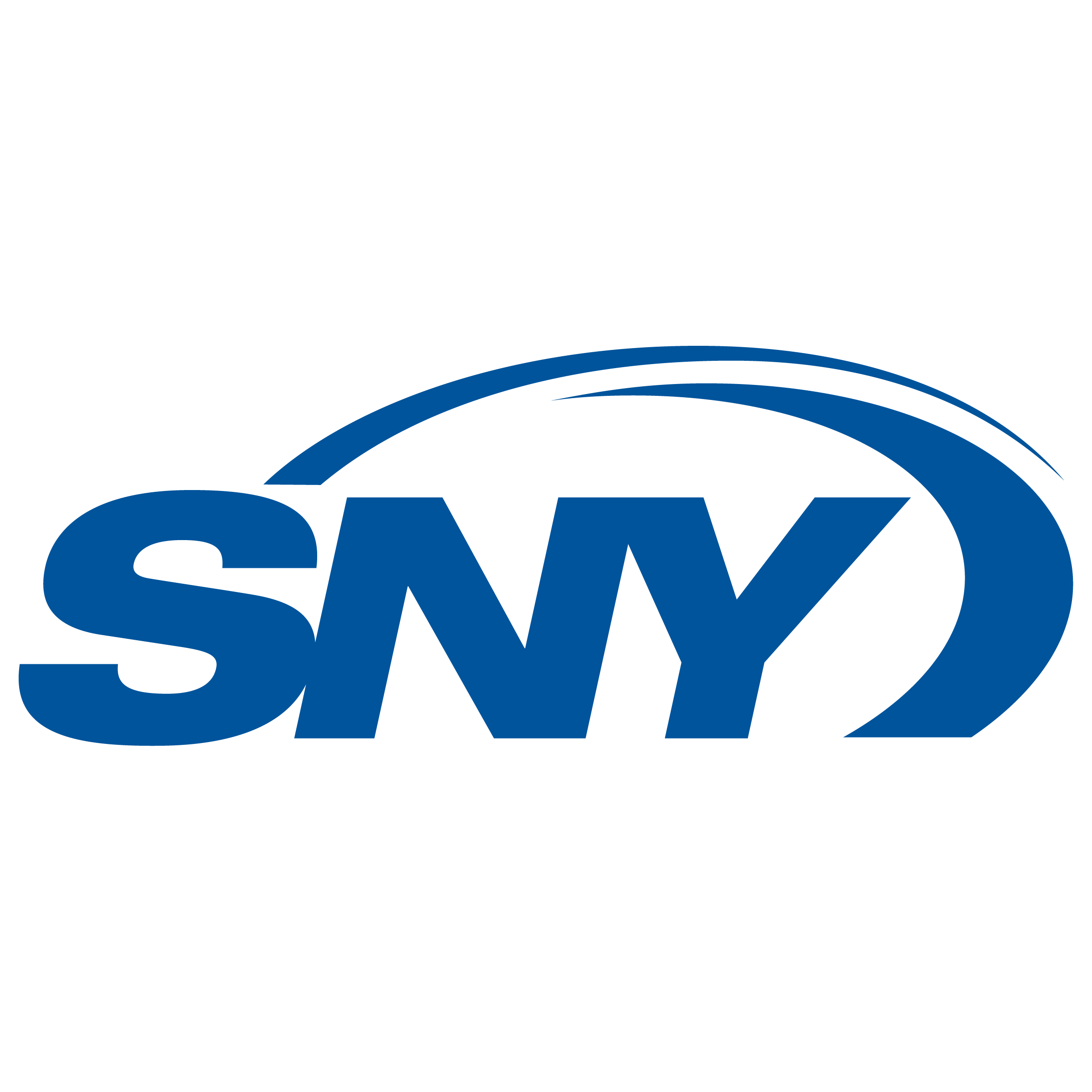 SNY Logo