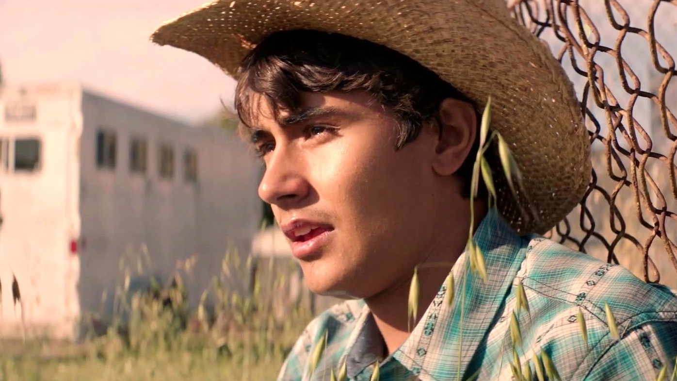 Centurion: The Dancing Stallion - Where to Watch and Stream - TV Guide