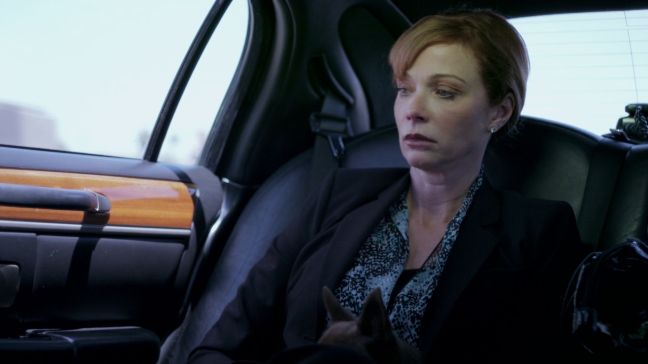 Layover - Where to Watch and Stream - TV Guide