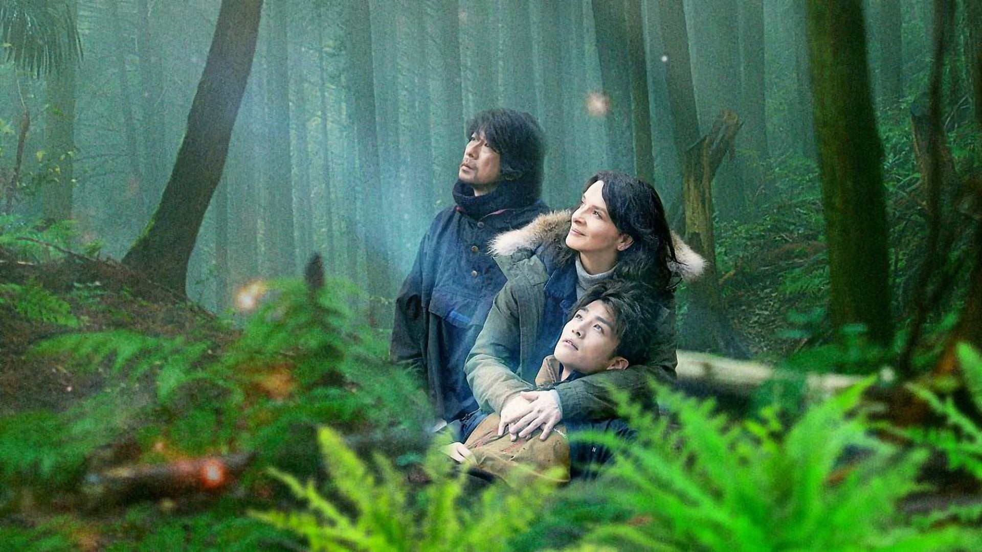 vision-full-cast-crew-tv-guide