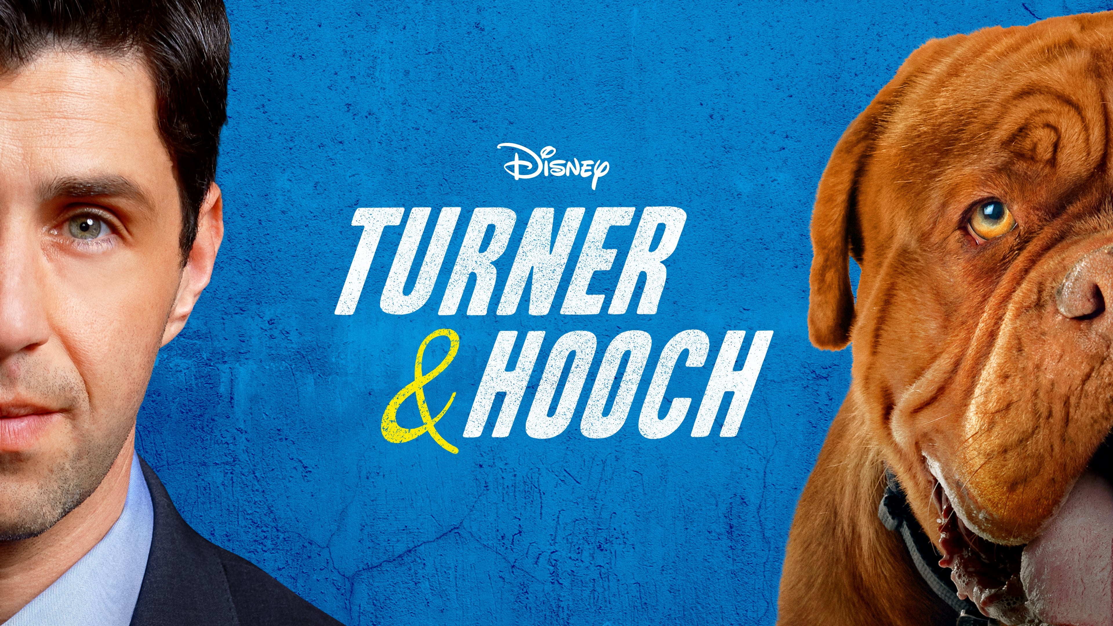 Turner &amp; Hooch - Where to Watch and Stream - TV Guide