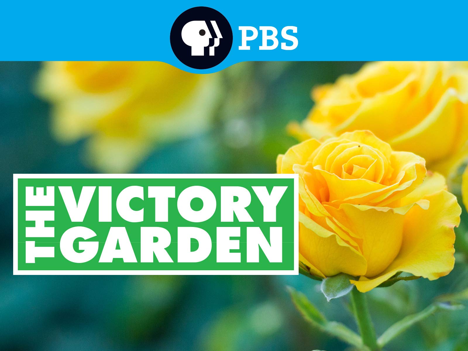 The Victory Garden - Where to Watch and Stream - TV Guide