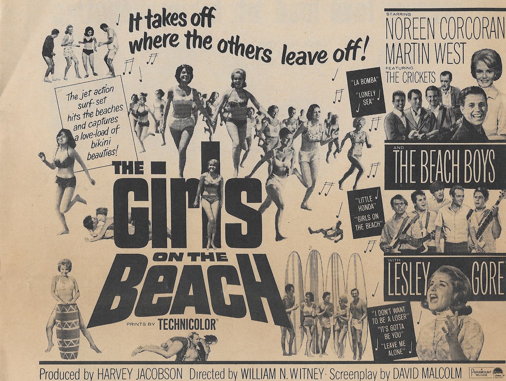 The Girls on the Beach - Where to Watch and Stream - TV Guide