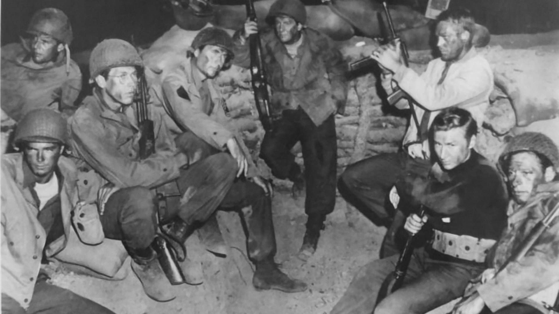 Watch World War II: The Last Heroes Online | Season 1 (2011) | TV Guide