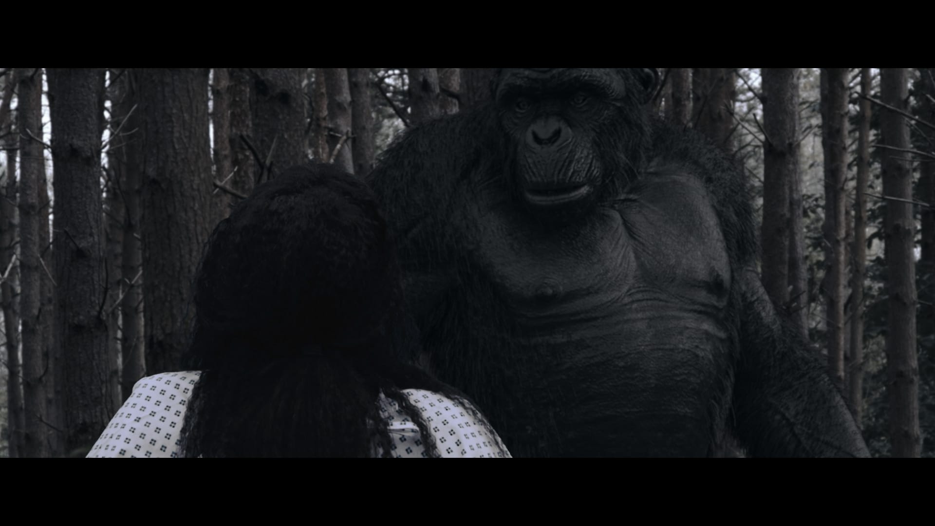 The Rise of the Beast - Where to Watch and Stream - TV Guide