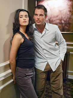 couples-fanswant-ncis6.jpg
