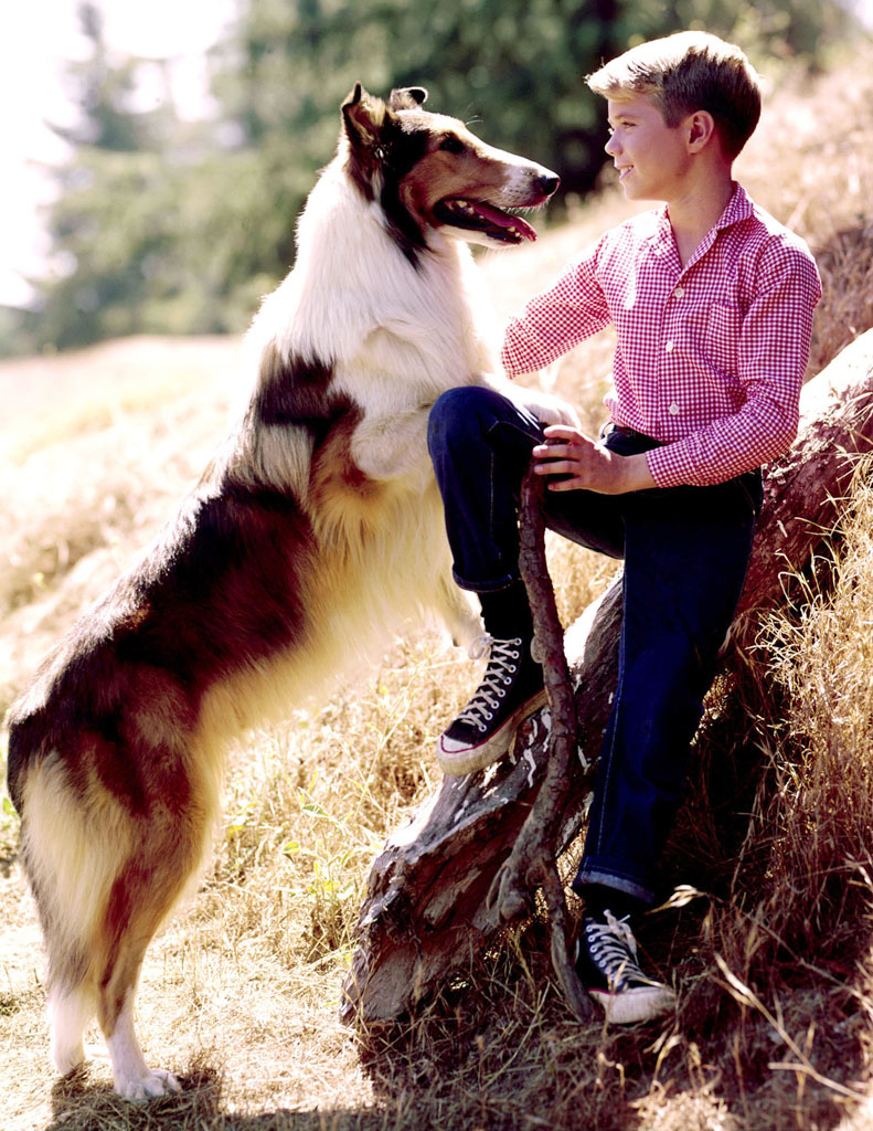 pets-lassie1.jpg
