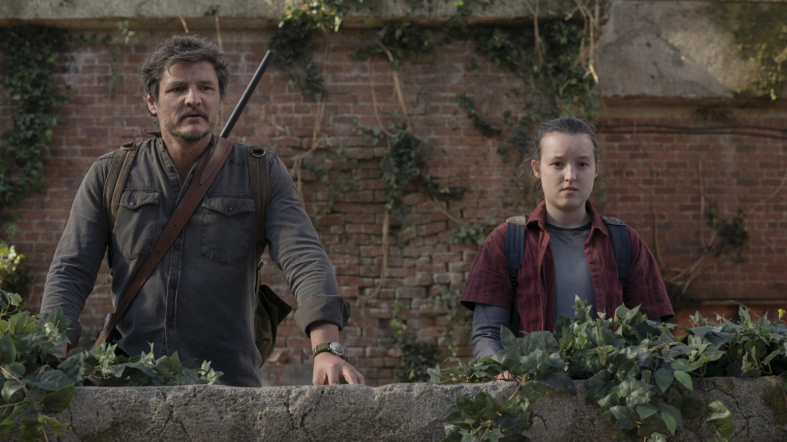 How to watch The Last of Us online right now — HBO Max release date and  time