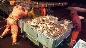 After the Catch, Season 3 Episode 2 image