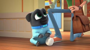 Puppy Dog Pals, Season 5 Episode 11 image