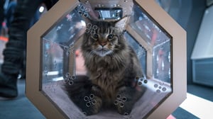 Star Trek: Discovery, Season 4 Episode 6 image