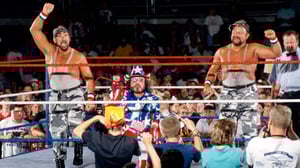 WWE Raw, Season 1 Episode 29 image