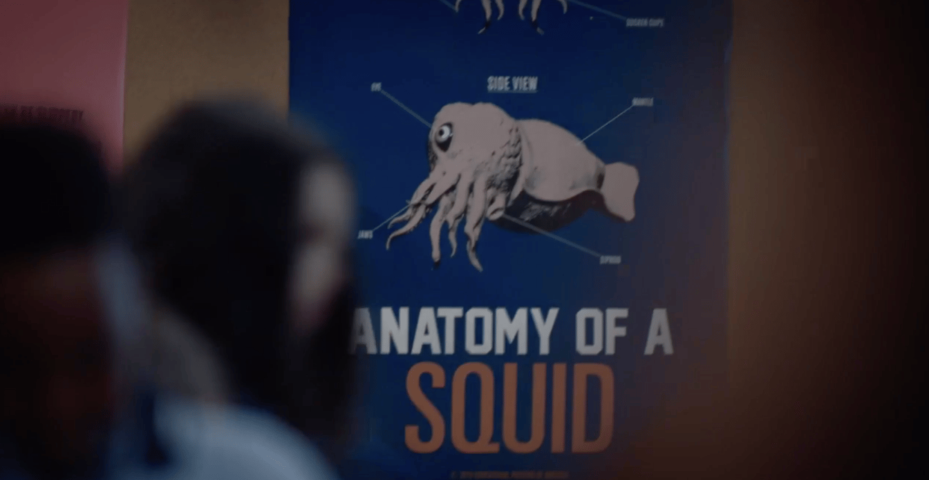 antamoy-of-a-squid.png