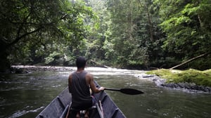 Fish or Die, Season 1 Episode 4 image