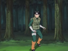 Naruto: Shippuden, Season 1 Episode 28 image
