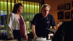 CSI: NY, Season 5 Episode 14 image