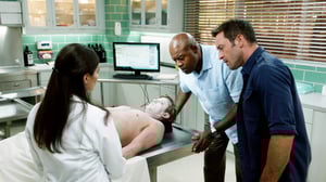 Hawaii Five-0, Season 5 Episode 3 image