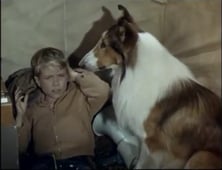 Lassie, Season 9 Episode 19 image