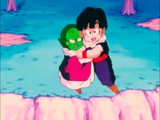Dragon Ball Z, Season 1 Episode 48 image