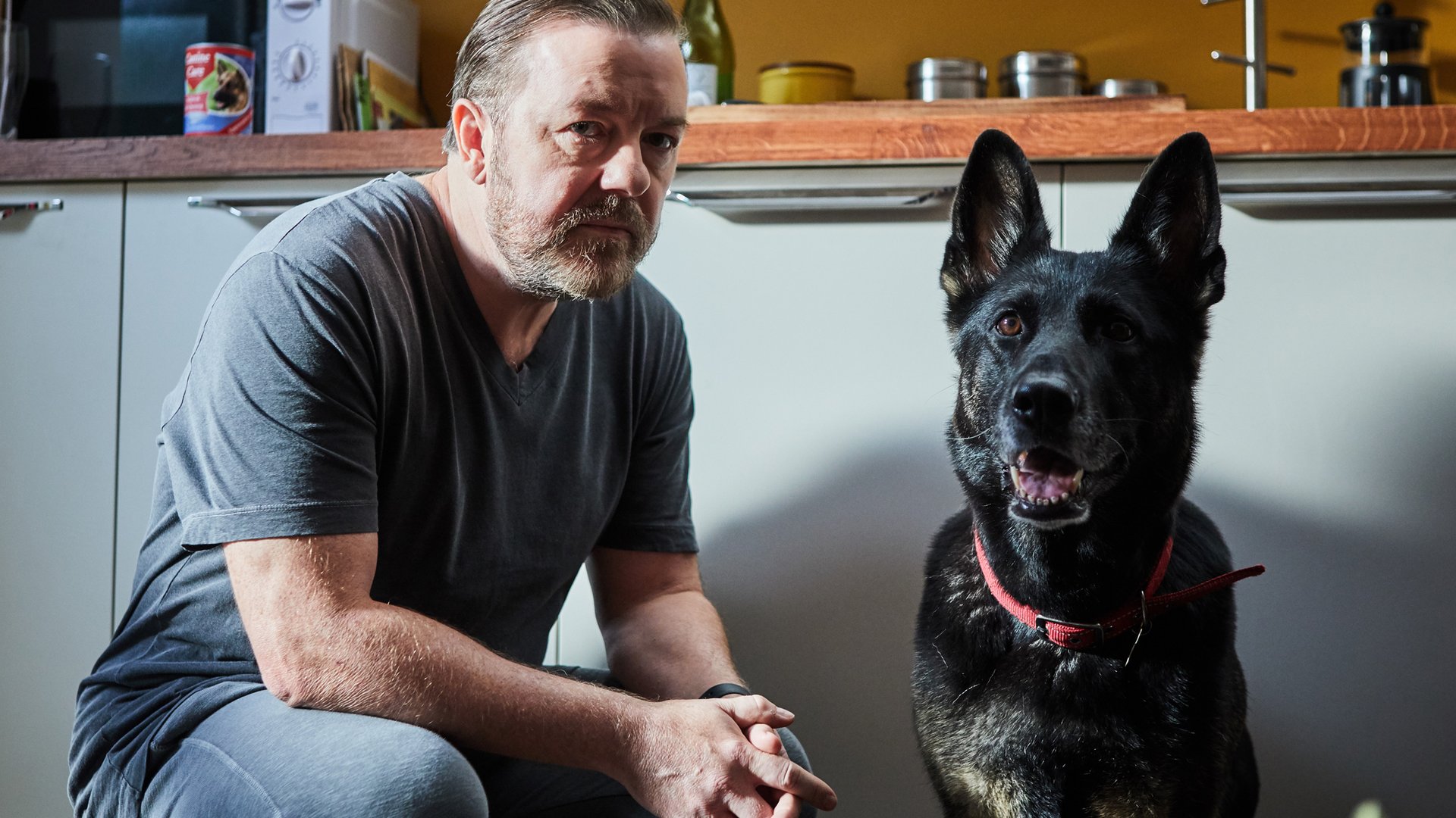 Ricky Gervais, Dog; After Life