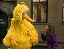 Sesame Street, Season 12 Episode 52 image