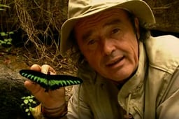 Insectia, Season 1 Episode 1 image