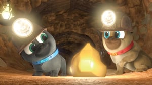 Puppy Dog Pals, Season 3 Episode 12 image