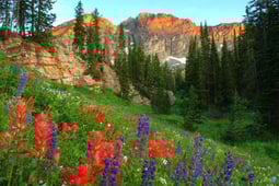 The Magical World of Disney, Season 4 Episode 3 image