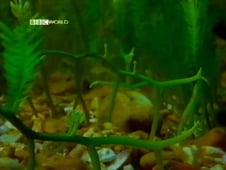 Horizon, Season 38 Episode 3 image