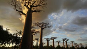 Ocean Treks with Jeff Corwin, Season 3 Episode 24 image