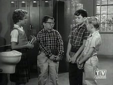 Leave It to Beaver, Season 4 Episode 9 image