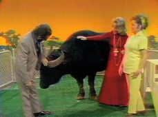 The Pet Set, Season 1 Episode 9 image