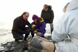 Unter anderen Umständen, Season 1 Episode 6 image