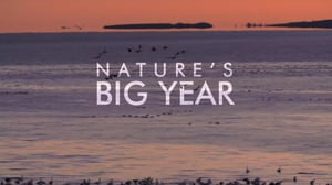 The Nature of Things, Season 61 Episode 2 image