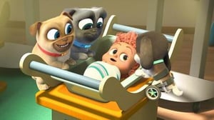 Puppy Dog Pals, Season 5 Episode 20 image