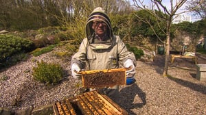 Bargain Hunt, Season 53 Episode 23 image