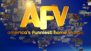America's Funniest Home Videos, Season 24 Episode 10 image
