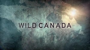 The Nature of Things, Season 53 Episode 18 image