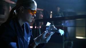CSI: Crime Scene Investigation, Season 9 Episode 20 image